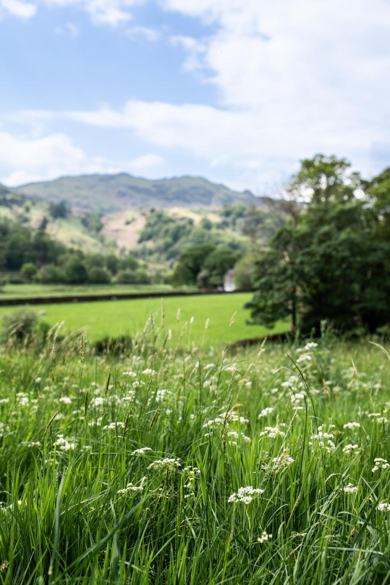 Hotel Lancrigg Grasmere Exteriér fotografie